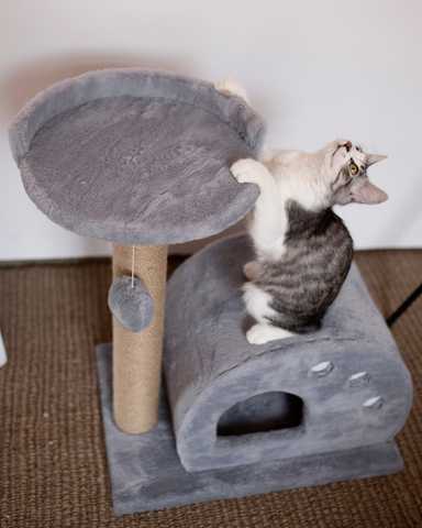 Домик труба для кошек своими руками