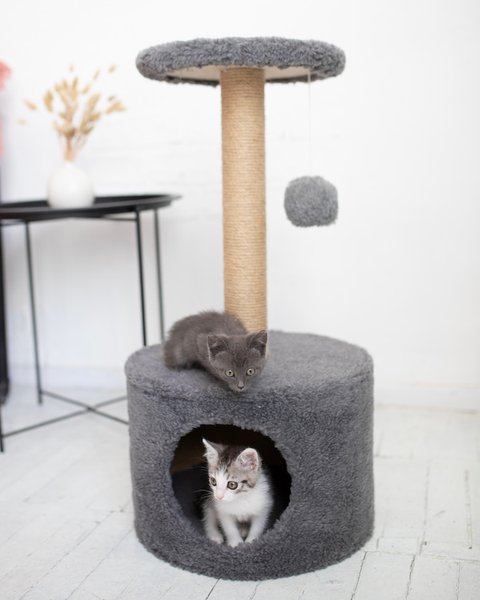 Будиночок для котика "Круг" – DomkoHouse