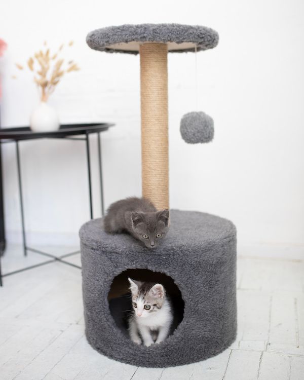 Будиночок для котика "Круг" – DomkoHouse