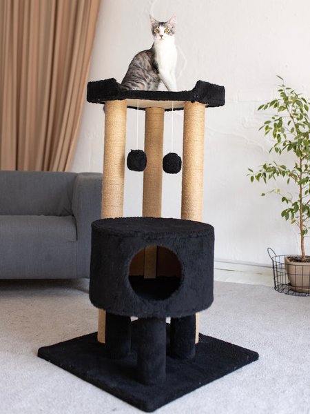 Домик для крупных котов "Мейнкун с домиком" – DomkoHouse