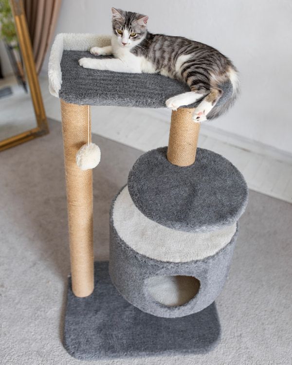 Будиночок для кота "Поло з поличкою" – DomkoHouse
