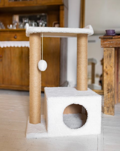 Будиночок для крупних котів "Компакт посилений" – DomkoHouse